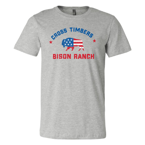 Red, White and Blue Vibes - Heather Grey Shirt