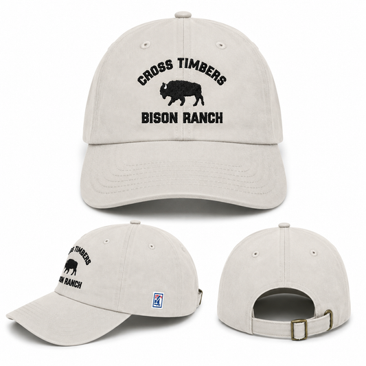 Stone Twill Cap CTB