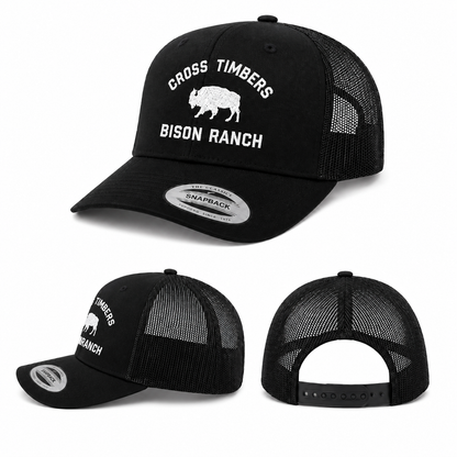 Classic Black Bison Cap