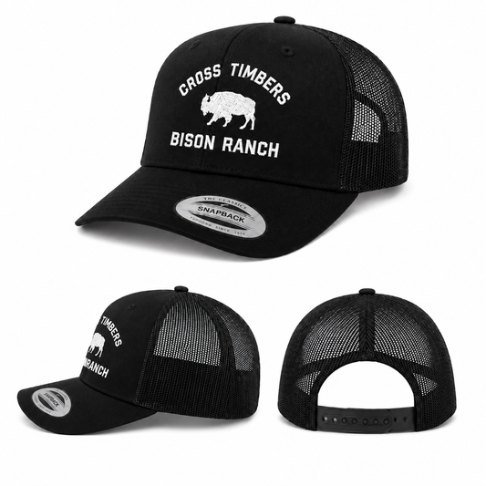 Classic Black Bison Cap