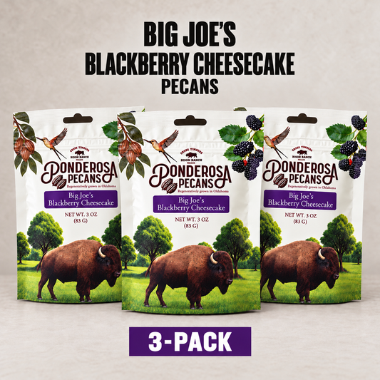 Big Joe's Blackberry Cheesecake Pecans - 3 Pack