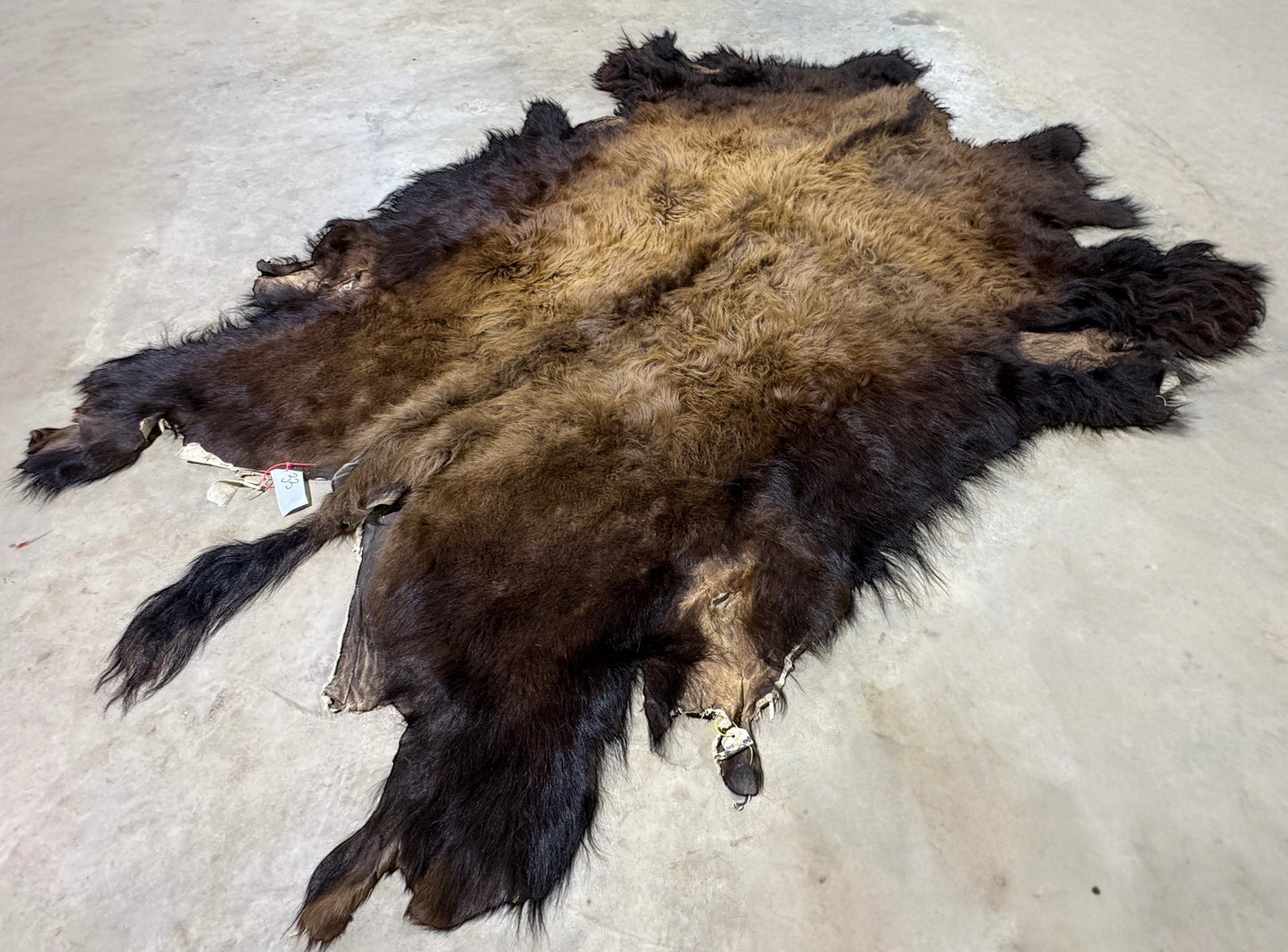 Bison Hide