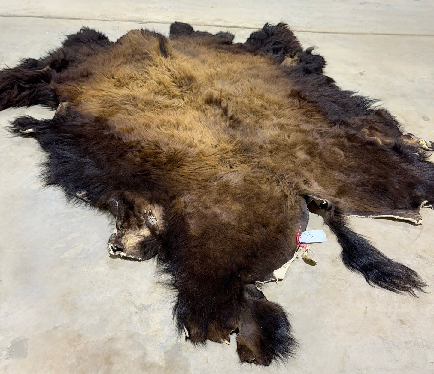 Bison Hide
