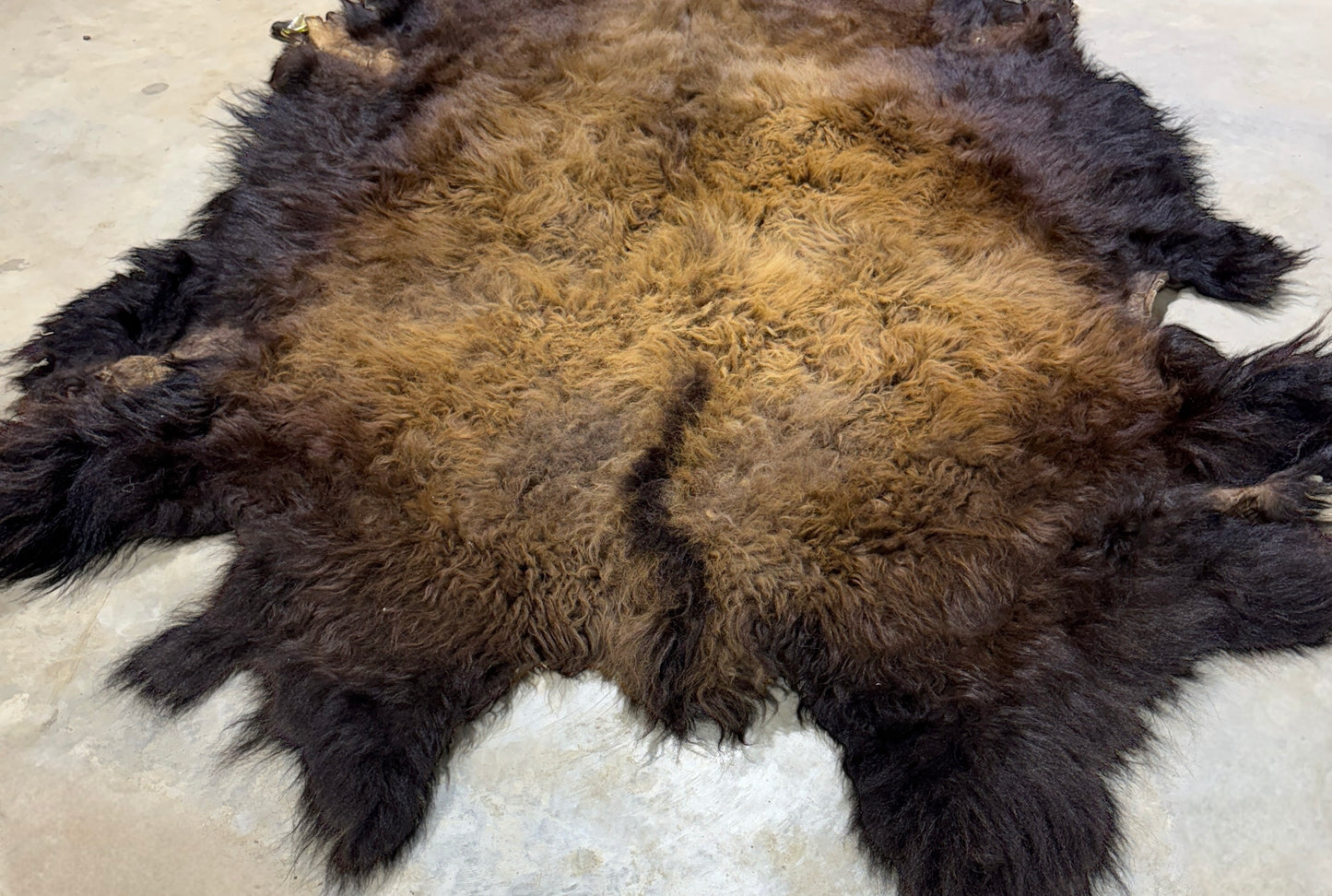 Bison Hide