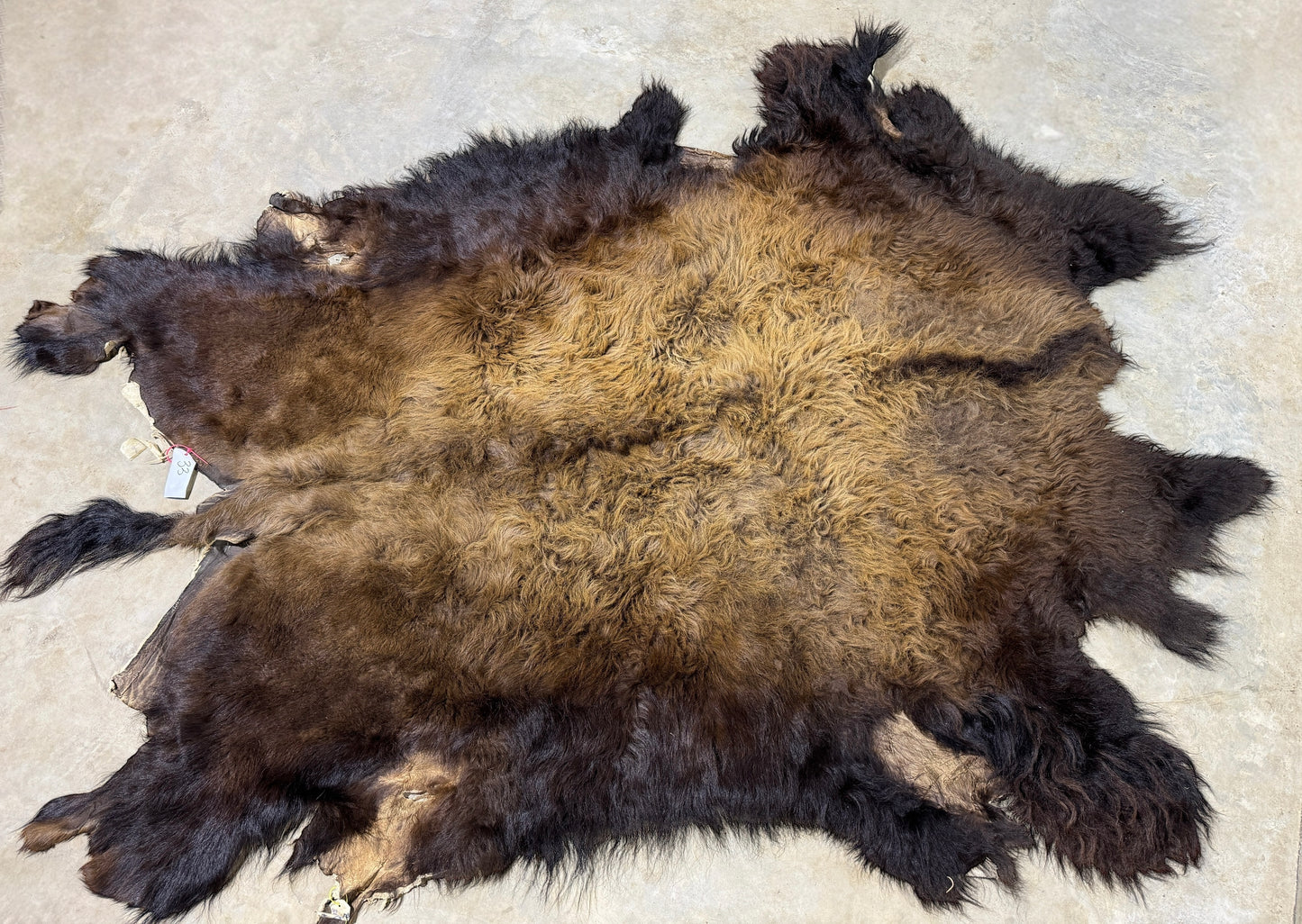 Bison Hide